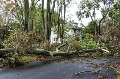 houston storm damage lawyers