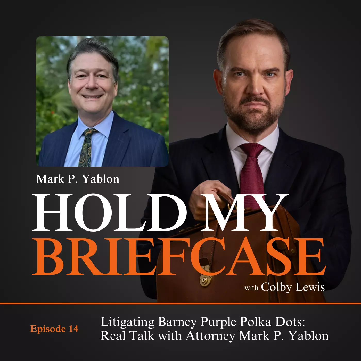014 Litigando con Barney Los Lunares Morados Charla Real con el Abogado Mark P Yablon