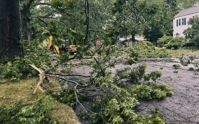 Do I Need an Attorney for a Storm Damage Claim in Houston?