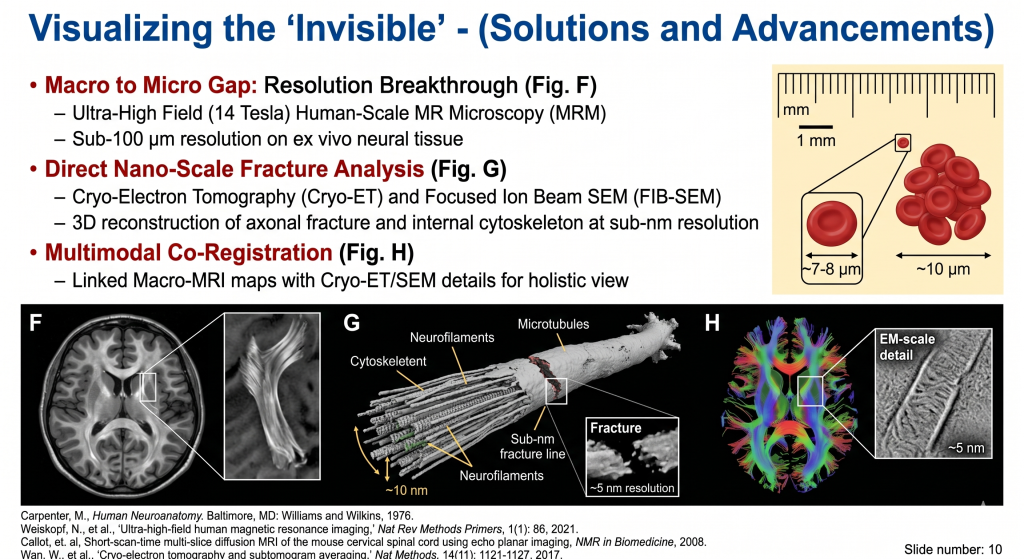 Scale diagram showing diffuse axonal injury occurs at the nanometer level, far below what a standard MRI can detect